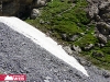 bouquetins-sur-la-neige.jpg