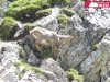 roi-de-l-escalade.jpg