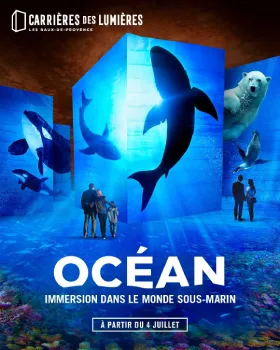billet expérience Océan Carrières des Lumières