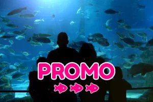 code promo Aquarium Barcelone réduction billets