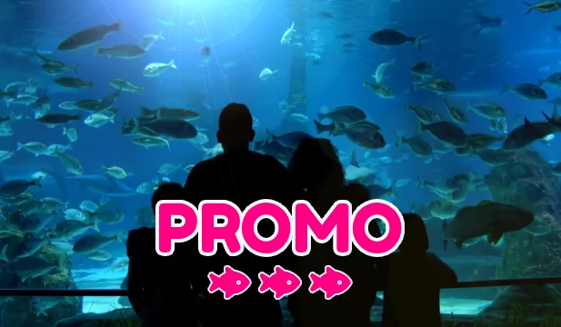 code promo Aquarium Barcelone réduction billets 2026