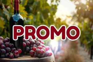 Code promo Cité du Vin Bordeaux réduction sur les billets