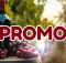 Code promo Cité du Vin Bordeaux réduction sur les billets