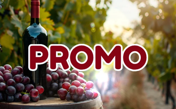 Code promo Cité du Vin Bordeaux réduction sur les billets