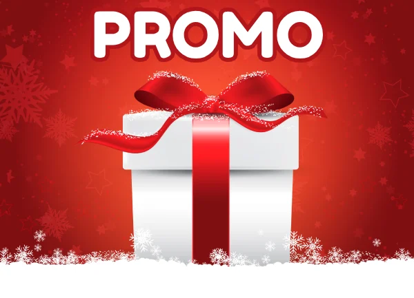 code promo Parc Astérix Noël Gaulois