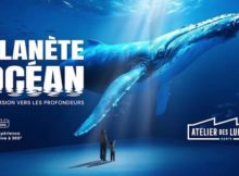 code promo Atelier des Lumières Planète Océan