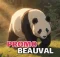 code promo Zoo Beauval réduction billets