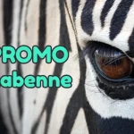 code promo Zoo de Labenne réduction billets pas chers