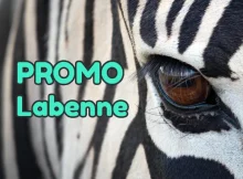 code promo Zoo de Labenne réduction billets pas chers