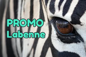 code promo Zoo de Labenne réduction billets pas chers