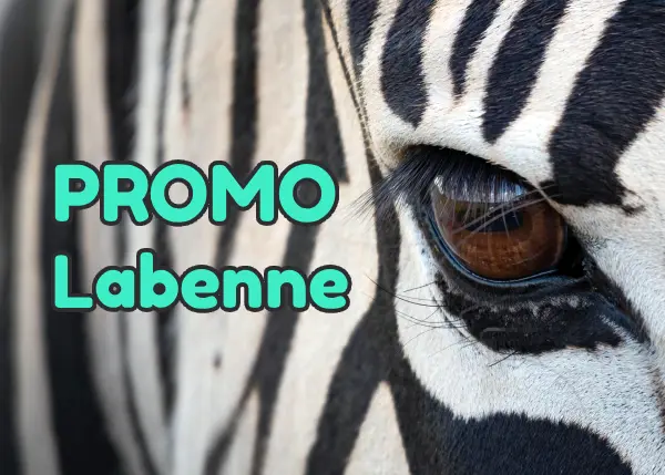 code promo Zoo de Labenne réduction billets pas chers