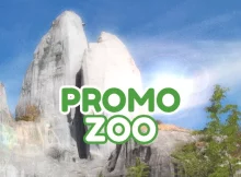 code promo Zoo Paris Vincennes réduction billets