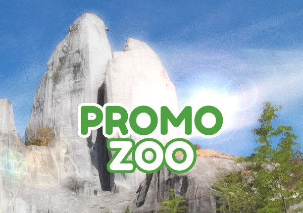 code promo Zoo Paris Vincennes réduction billets 2026