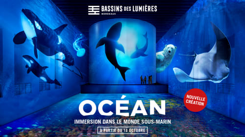exposition Océan Bassins des Lumières 2025 2026